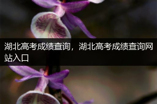 湖北高考成绩查询，湖北高考成绩查询网站入口