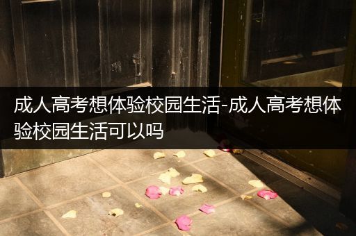 成人高考想体验校园生活-成人高考想体验校园生活可以吗