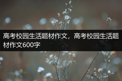 高考校园生活题材作文，高考校园生活题材作文600字