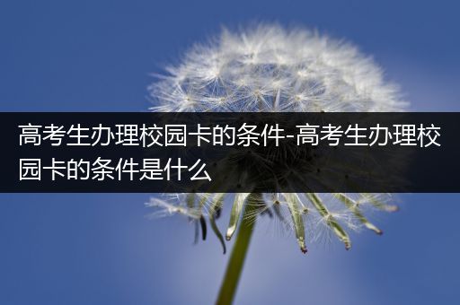 高考生办理校园卡的条件-高考生办理校园卡的条件是什么