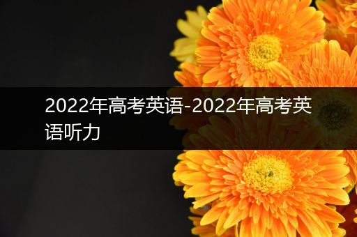 2022年高考英语-2022年高考英语听力