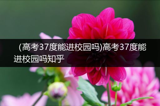 （高考37度能进校园吗)高考37度能进校园吗知乎