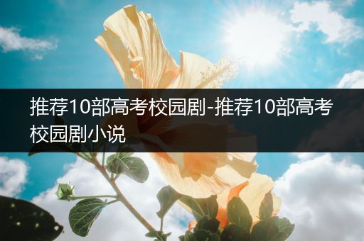 推荐10部高考校园剧-推荐10部高考校园剧小说