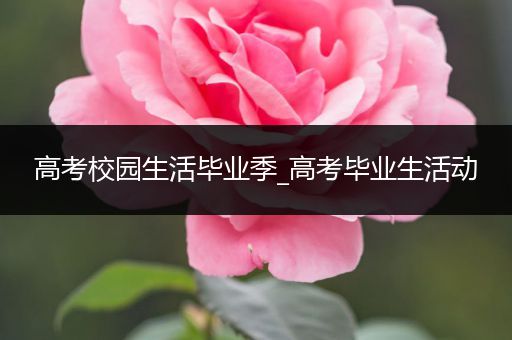 高考校园生活毕业季_高考毕业生活动