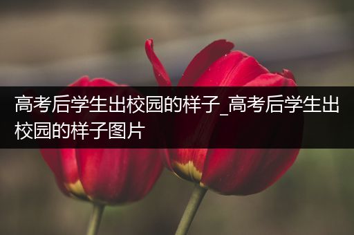 高考后学生出校园的样子_高考后学生出校园的样子图片