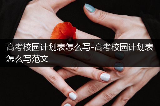 高考校园计划表怎么写-高考校园计划表怎么写范文