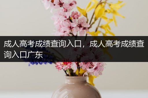 成人高考成绩查询入口，成人高考成绩查询入口广东