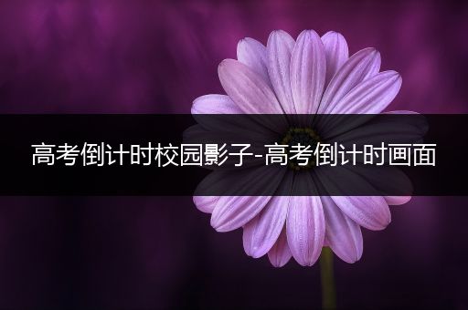 高考倒计时校园影子-高考倒计时画面