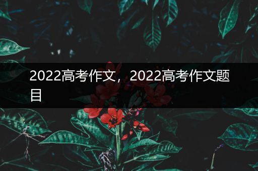 2022高考作文，2022高考作文题目