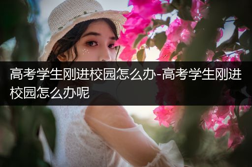 高考学生刚进校园怎么办-高考学生刚进校园怎么办呢