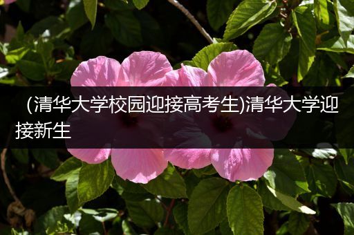 （清华大学校园迎接高考生)清华大学迎接新生