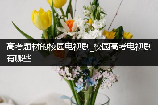 高考题材的校园电视剧_校园高考电视剧有哪些