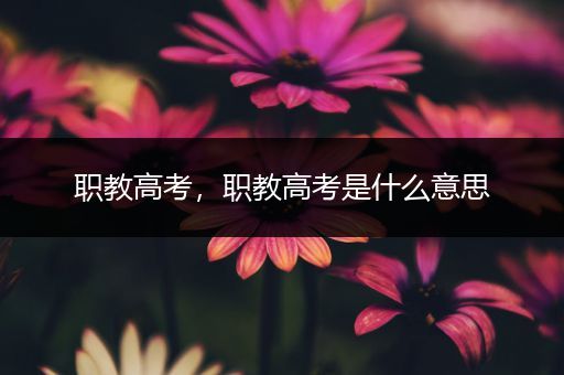 职教高考，职教高考是什么意思