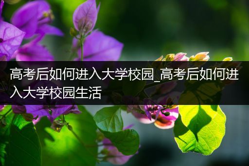 高考后如何进入大学校园_高考后如何进入大学校园生活