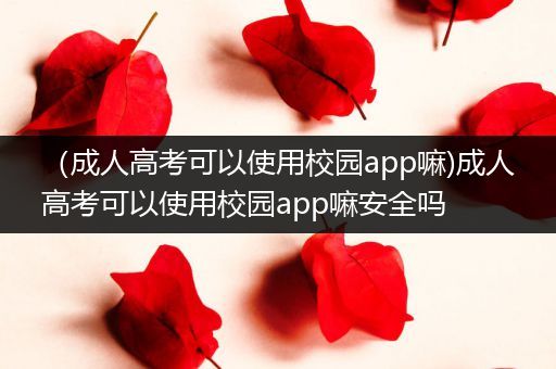 （成人高考可以使用校园app嘛)成人高考可以使用校园app嘛安全吗