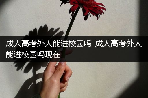 成人高考外人能进校园吗_成人高考外人能进校园吗现在