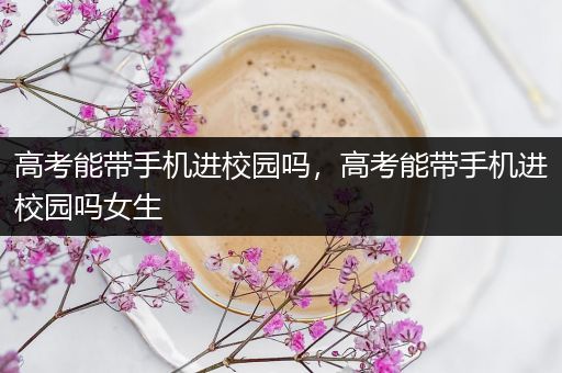 高考能带手机进校园吗，高考能带手机进校园吗女生