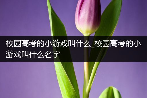 校园高考的小游戏叫什么_校园高考的小游戏叫什么名字