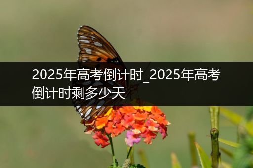 2025年高考倒计时_2025年高考倒计时剩多少天