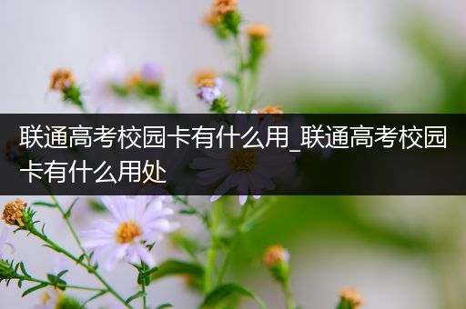 联通高考校园卡有什么用_联通高考校园卡有什么用处