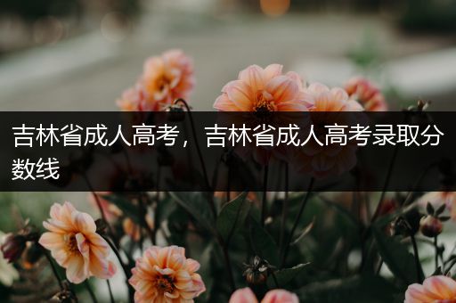 吉林省成人高考，吉林省成人高考录取分数线