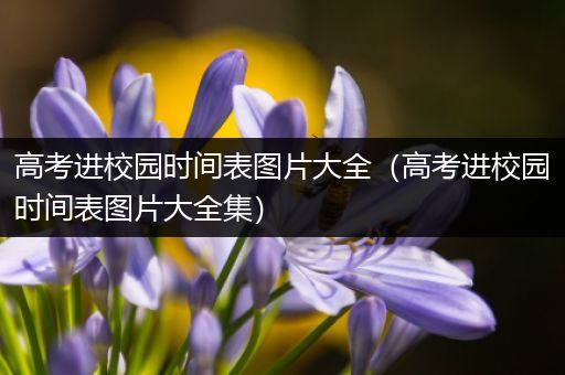 高考进校园时间表图片大全（高考进校园时间表图片大全集）