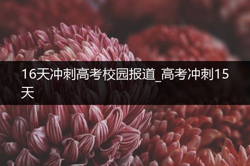 16天冲刺高考校园报道_高考冲刺15天