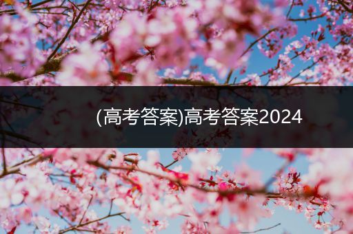 （高考答案)高考答案2024