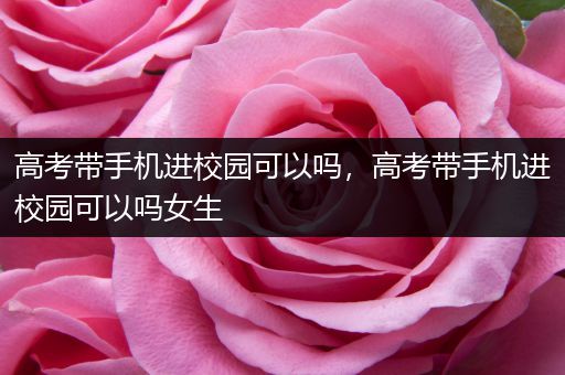 高考带手机进校园可以吗，高考带手机进校园可以吗女生