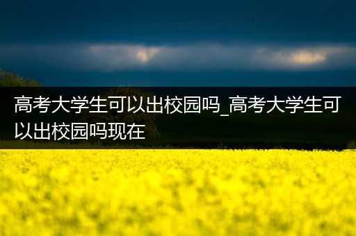 高考大学生可以出校园吗_高考大学生可以出校园吗现在