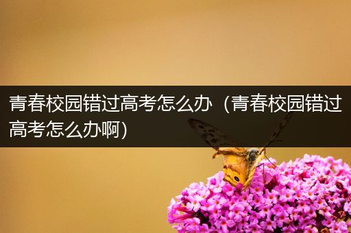 青春校园错过高考怎么办（青春校园错过高考怎么办啊）