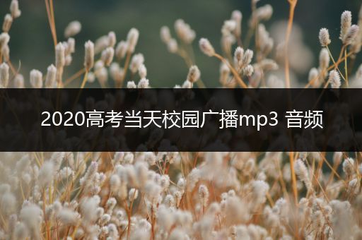 2020高考当天校园广播mp3 音频