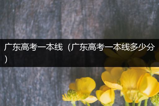 广东高考一本线（广东高考一本线多少分）