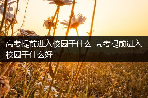 高考提前进入校园干什么_高考提前进入校园干什么好