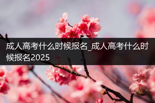 成人高考什么时候报名_成人高考什么时候报名2025