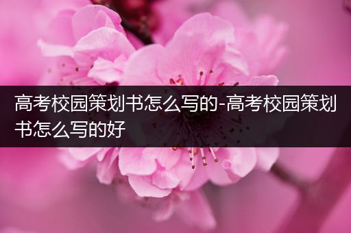 高考校园策划书怎么写的-高考校园策划书怎么写的好