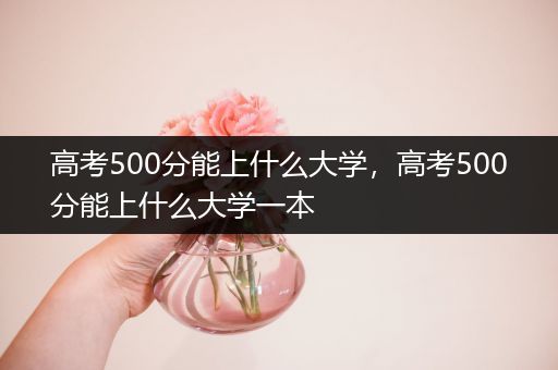 高考500分能上什么大学，高考500分能上什么大学一本