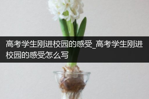 高考学生刚进校园的感受_高考学生刚进校园的感受怎么写