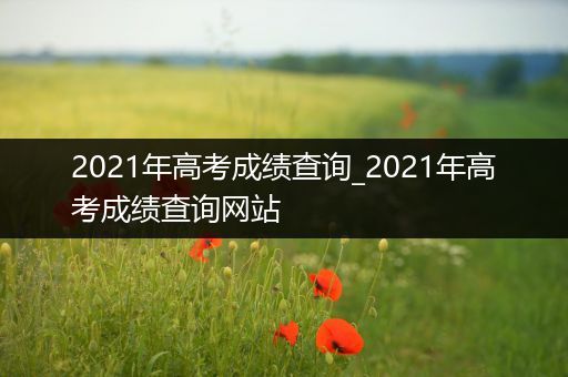 2021年高考成绩查询_2021年高考成绩查询网站