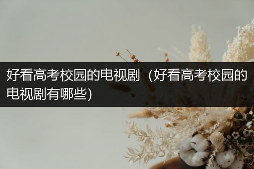 好看高考校园的电视剧（好看高考校园的电视剧有哪些）