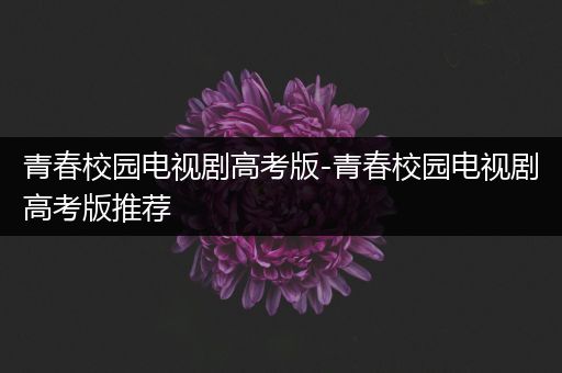 青春校园电视剧高考版-青春校园电视剧高考版推荐