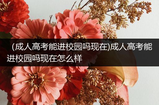 （成人高考能进校园吗现在)成人高考能进校园吗现在怎么样