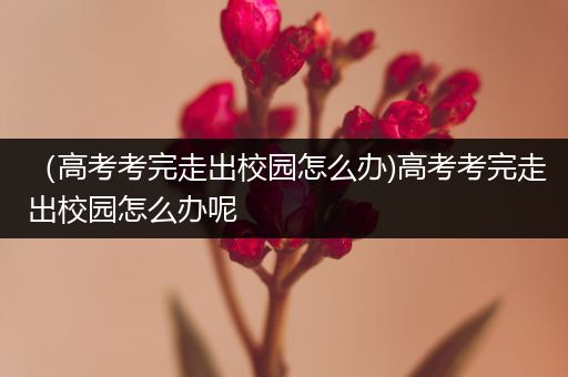 （高考考完走出校园怎么办)高考考完走出校园怎么办呢