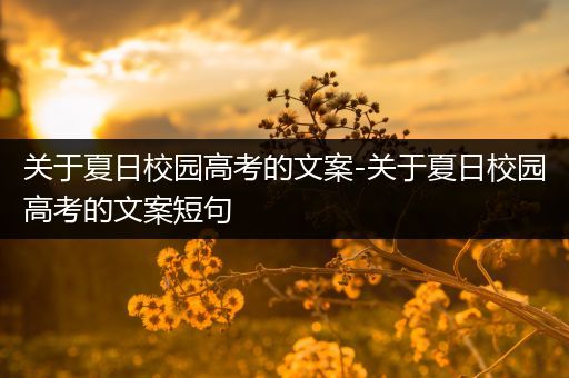 关于夏日校园高考的文案-关于夏日校园高考的文案短句