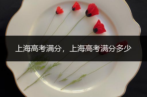 上海高考满分，上海高考满分多少