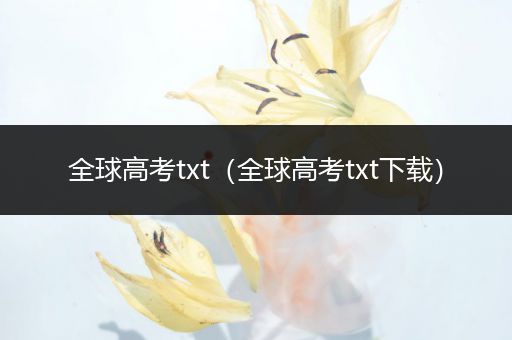 全球高考txt（全球高考txt下载）