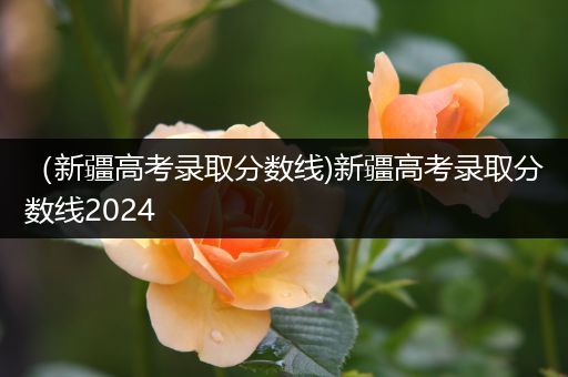 （新疆高考录取分数线)新疆高考录取分数线2024