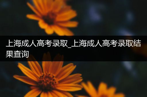 上海成人高考录取_上海成人高考录取结果查询