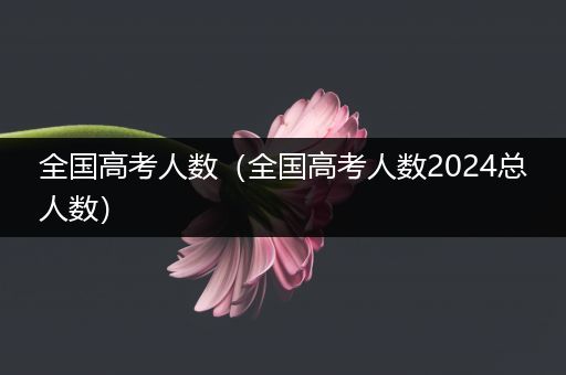 全国高考人数（全国高考人数2024总人数）