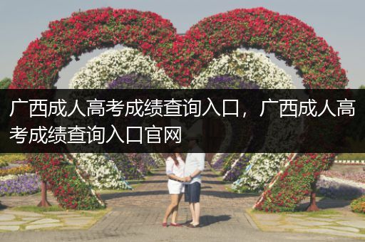 广西成人高考成绩查询入口，广西成人高考成绩查询入口官网